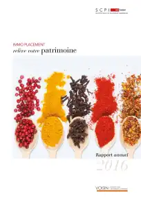 Rapport annuel - 2016