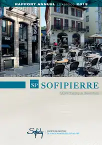 Rapport annuel - 2013