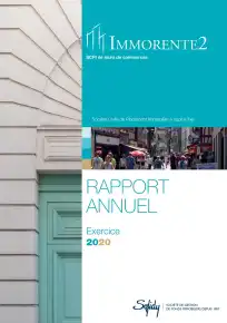 Rapport annuel - 2020