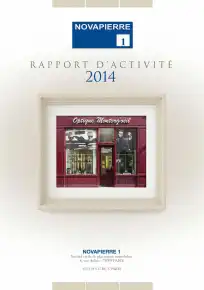 Rapport annuel - 2014