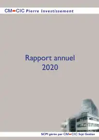 Rapport annuel - 2020