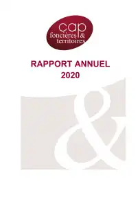 Rapport annuel - 2020