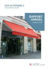 Rapport annuel - 2017