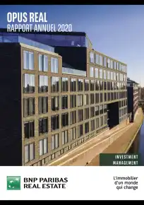 Rapport annuel - 2020