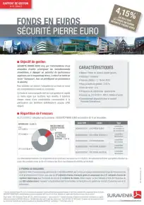 Rapport de gestion 2013