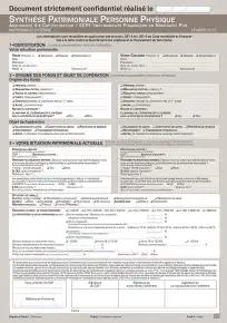 Synthèse Patrimoniale