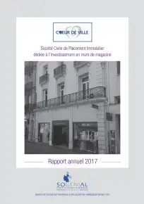 Rapport annuel - 2017