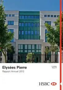 Rapport annuel - 2013