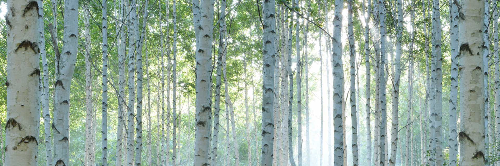 Image de couverture