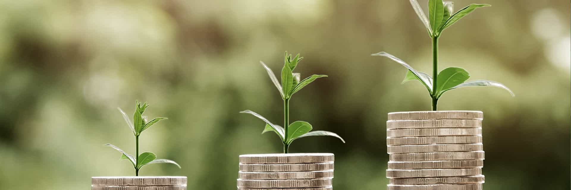 Fonds en euros