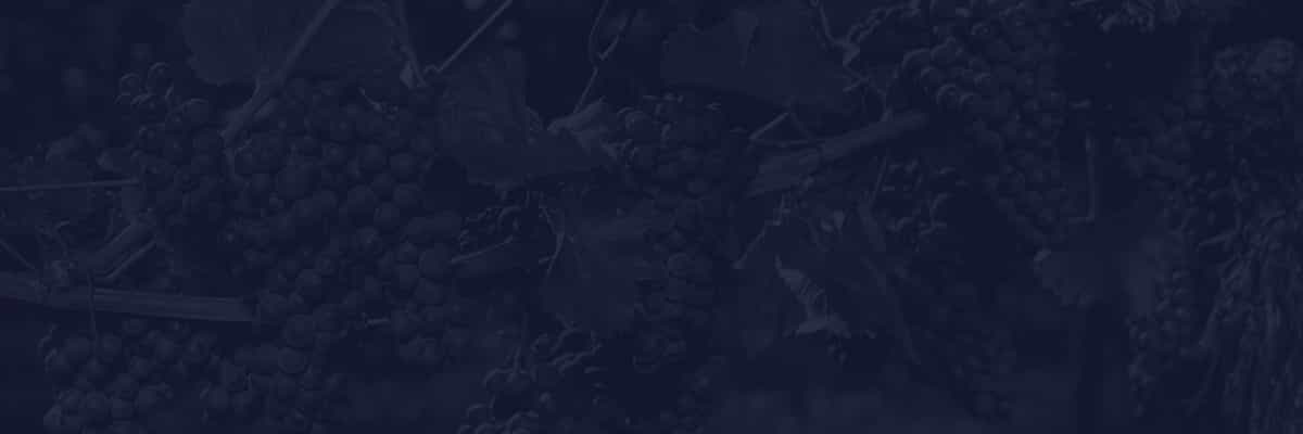 Vous souhaitez être conseillé[e] dans le choix de vos GFV - Groupements Fonciers Viticoles&nbsp;?